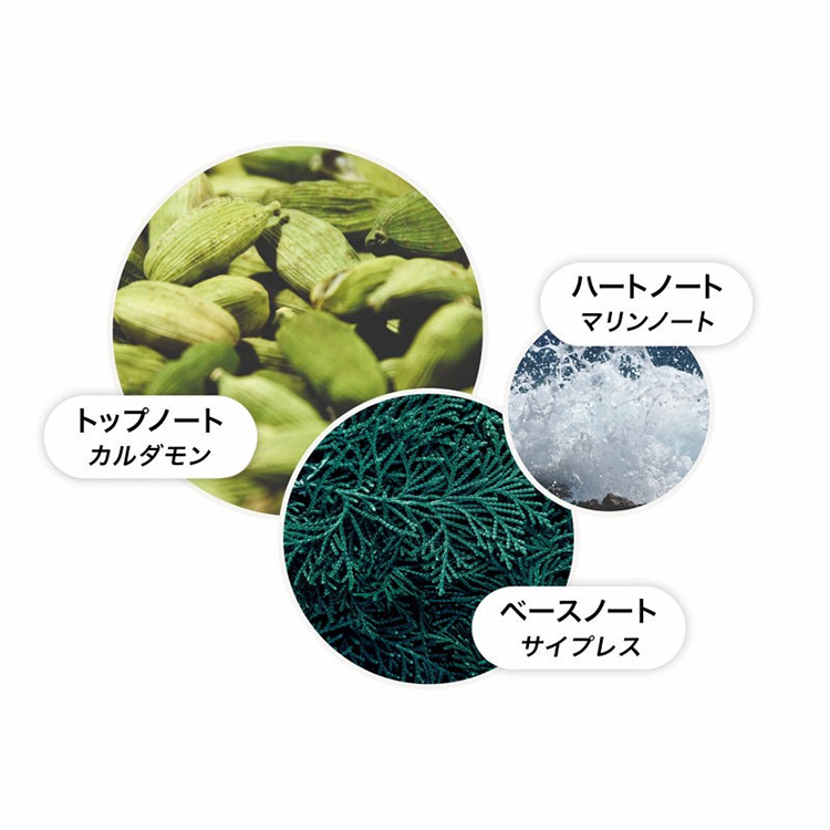 toitoitoi コンディショナー 2826fd79d66b684661bcf434c688f5