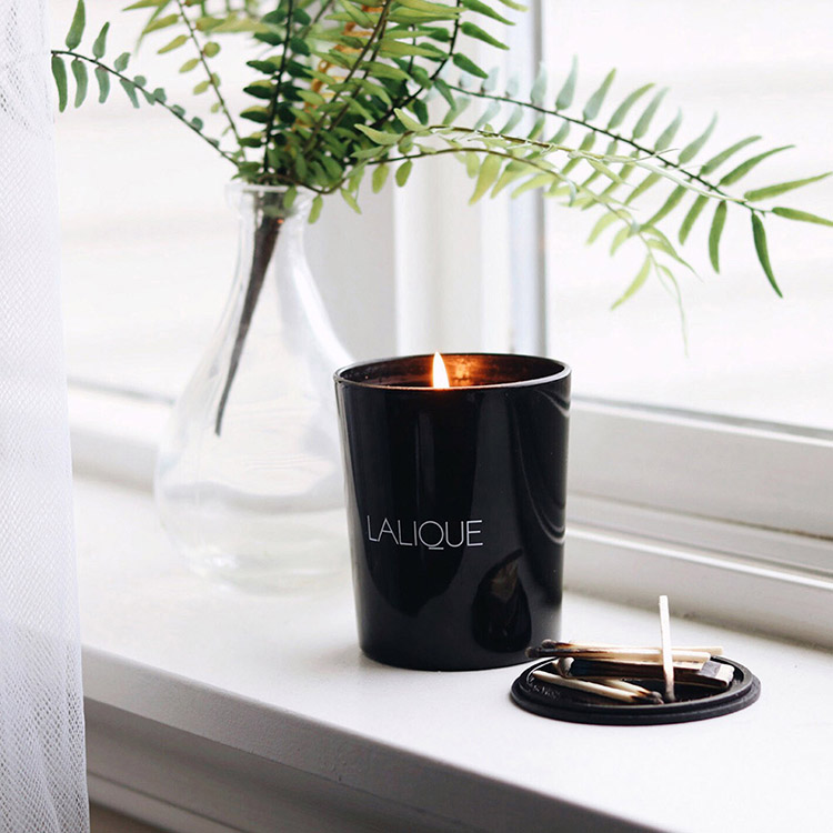 キャンドル ピオニー／オリンポス 190g | TOMIYA(トミヤ)-Omotecho