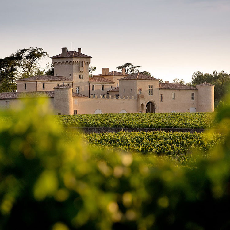 シャペル ド ラフォリ ペラゲ 2016 ソーテルヌ 375ml | TOMIYA(トミヤ