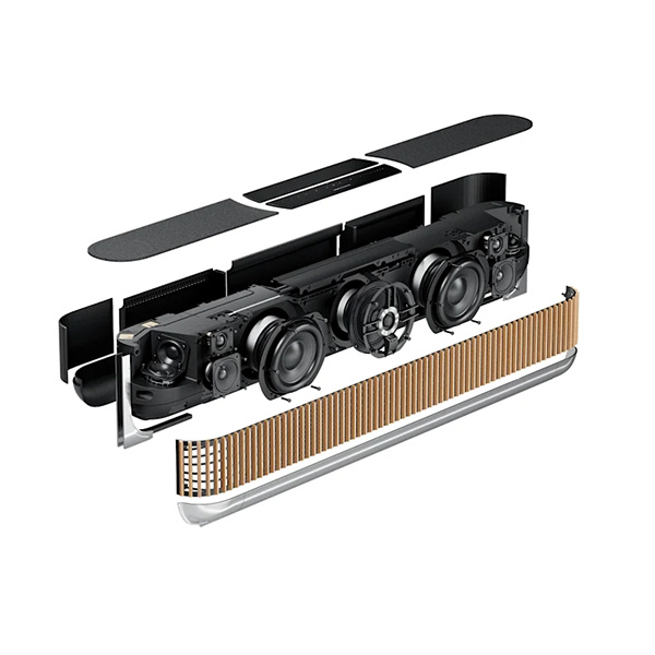 BeoVision Theatre 65